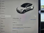 2021 Model Y Thumbnail 19