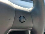 2021 Model Y Thumbnail 17