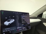 2021 Model Y Thumbnail 13