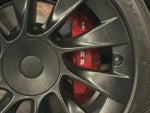 2021 Model Y Thumbnail 13