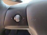 2021 Model Y Thumbnail 14