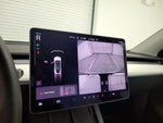 2021 Model Y Thumbnail 14