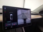 2021 Model Y Thumbnail 14