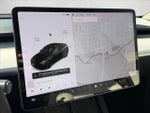 2021 Model Y Thumbnail 13