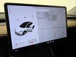 2021 Model Y Thumbnail 14