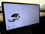 2021 Model Y Thumbnail 16
