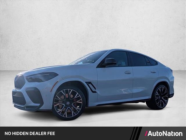 2023 BMW X6