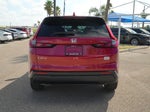 2023 CR-V Thumbnail 6