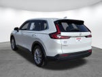 2024 CR-V Thumbnail 6