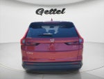 2024 CR-V Thumbnail 6
