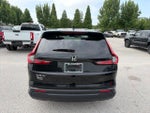 2023 CR-V Thumbnail 6