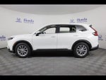 2025 CR-V Thumbnail 4