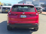 2023 CR-V Thumbnail 5