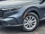 2025 CR-V Thumbnail 4