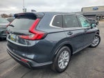 2025 CR-V Thumbnail 10