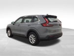 2024 CR-V Thumbnail 2