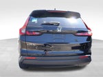 2025 CR-V Thumbnail 10