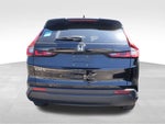 2025 CR-V Thumbnail 14