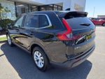 2025 CR-V Thumbnail 3