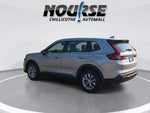 2024 CR-V Thumbnail 6