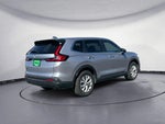 2025 CR-V Thumbnail 5