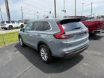2025 CR-V Thumbnail 4