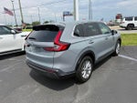 2025 CR-V Thumbnail 6