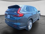 2023 CR-V Thumbnail 7
