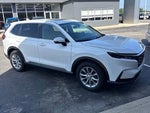 2025 CR-V Thumbnail 2