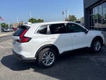 2025 CR-V Thumbnail 4
