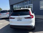 2025 CR-V Thumbnail 5