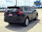 2023 CR-V Thumbnail 6