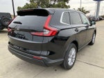 2025 CR-V Thumbnail 21