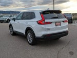 2025 CR-V Thumbnail 4