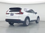 2024 CR-V Thumbnail 8