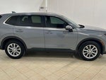2025 CR-V Thumbnail 6