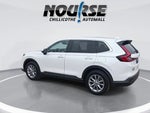 2024 CR-V Thumbnail 6