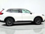 2026 CR-V Thumbnail 4