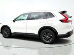 2026 CR-V Thumbnail 7
