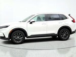 2026 CR-V Thumbnail 8