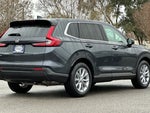 2025 CR-V Thumbnail 4