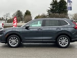 2025 CR-V Thumbnail 7