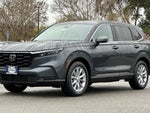 2025 CR-V Thumbnail 8