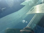 2024 CR-V Hybrid Thumbnail 5