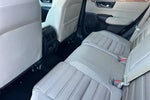 2019 CR-V Thumbnail 7