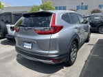 2019 CR-V Thumbnail 6