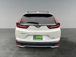 2020 CR-V Thumbnail 6