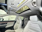 2019 CR-V Thumbnail 4