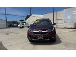 2019 CR-V Thumbnail 6
