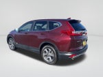 2019 CR-V Thumbnail 3
